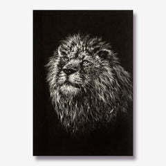 IN HIM - Lion of Judah_1