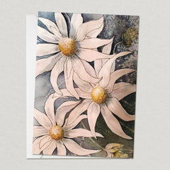 Flannel Flowers
