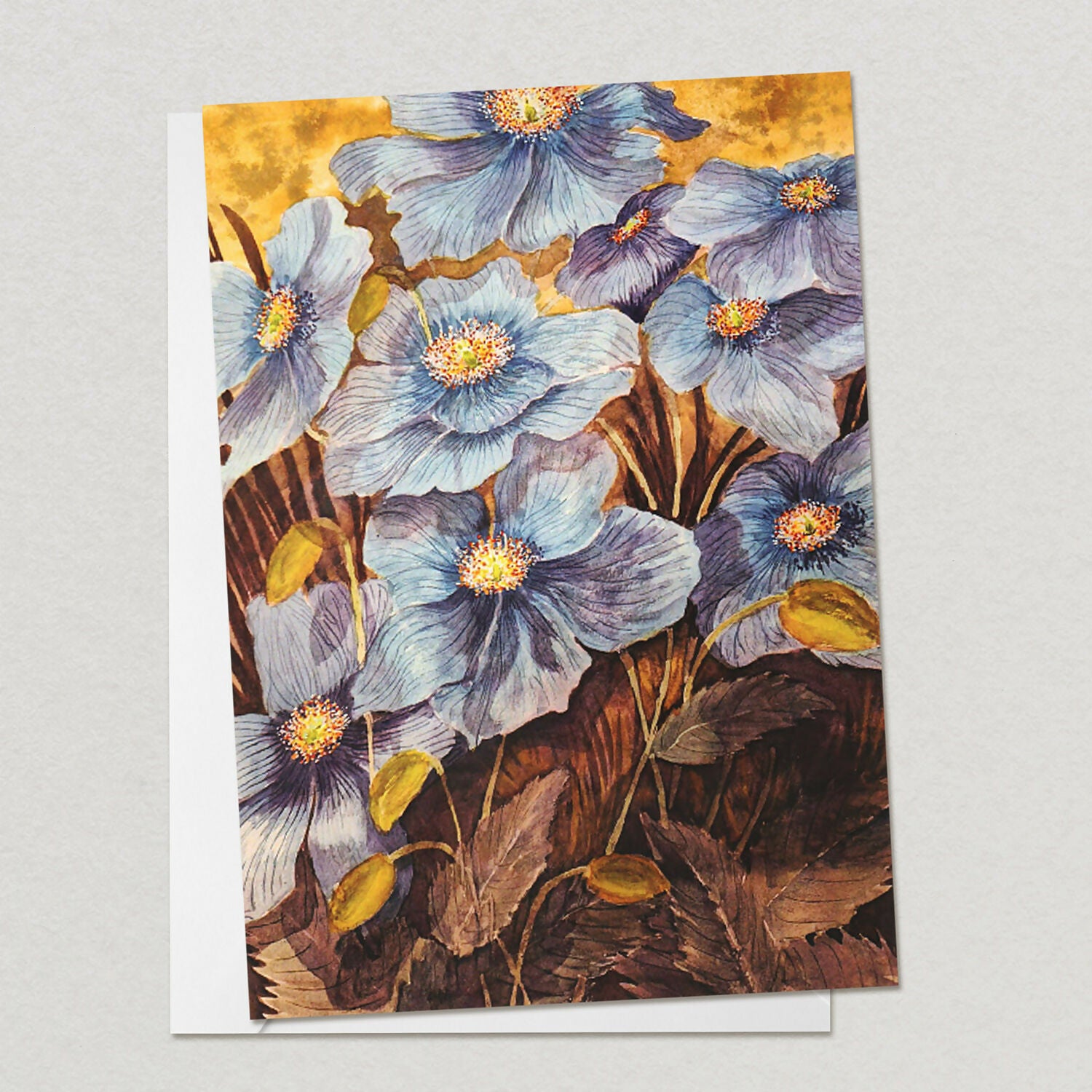 Himalayan Blue Poppies
