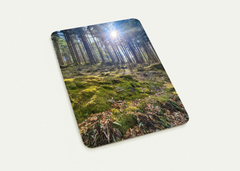 Product File Card Scotland 2