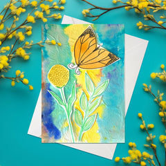 Butterfly 1_3
