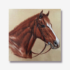 Light Horse_1