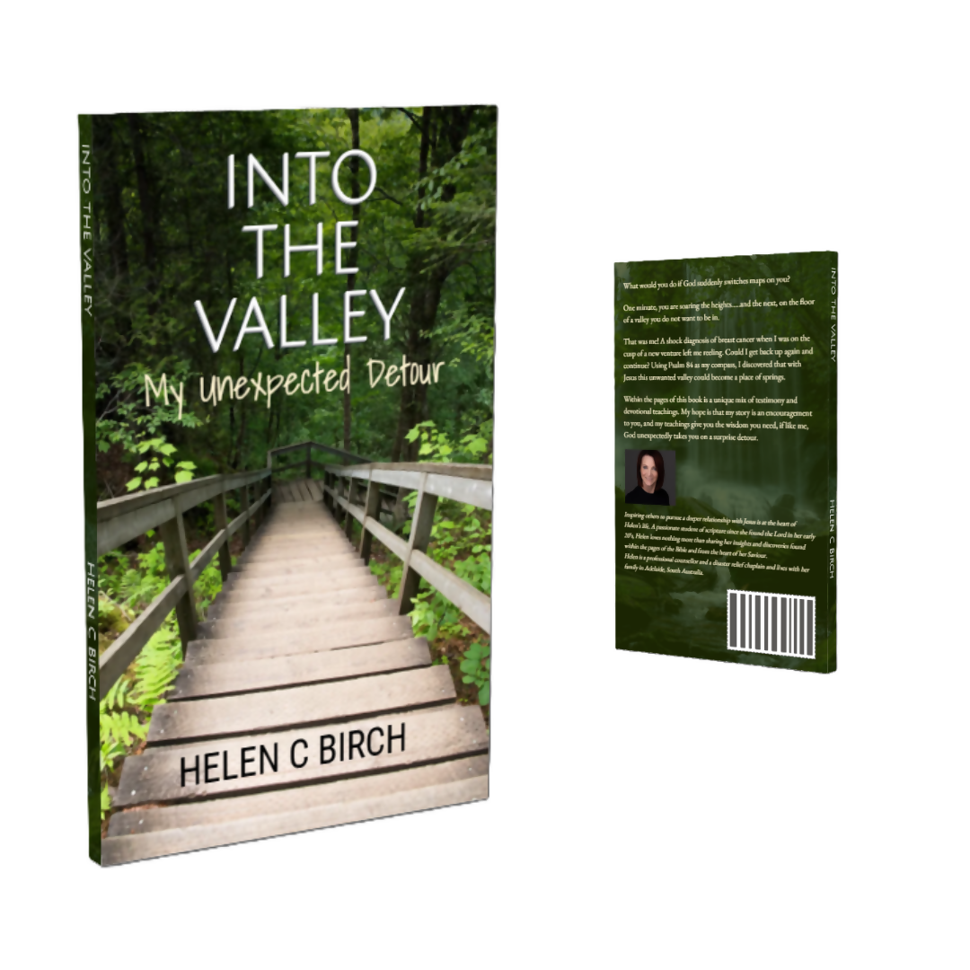 Into the Valley (Slight Misprint)